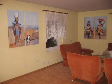 cztery obrazy grzewcze - dom pod Poznaniem - salon